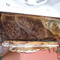 Inside the soffit